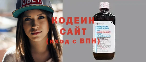 крисы Пересвет