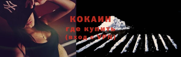 крисы Пересвет