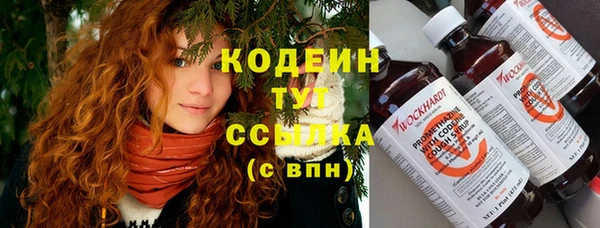 крисы Пересвет
