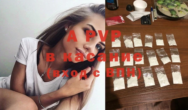 крисы Пересвет