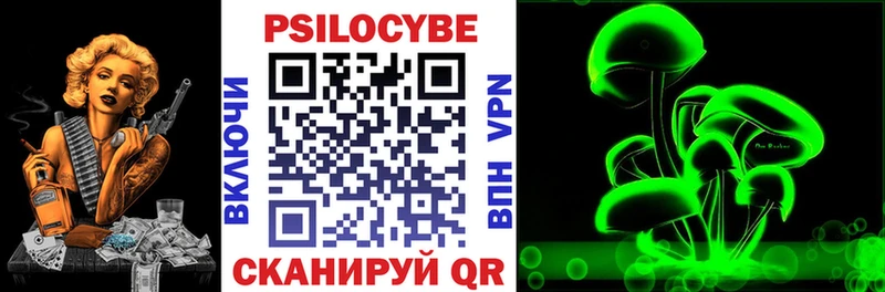 сайты даркнета как зайти  Отрадная  Галлюциногенные грибы мицелий 