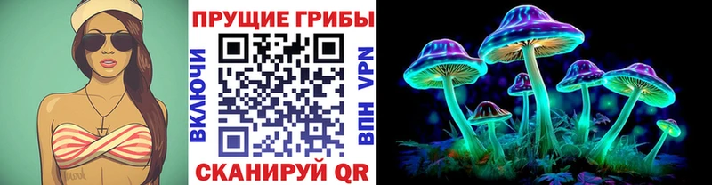Галлюциногенные грибы Psilocybe Отрадная